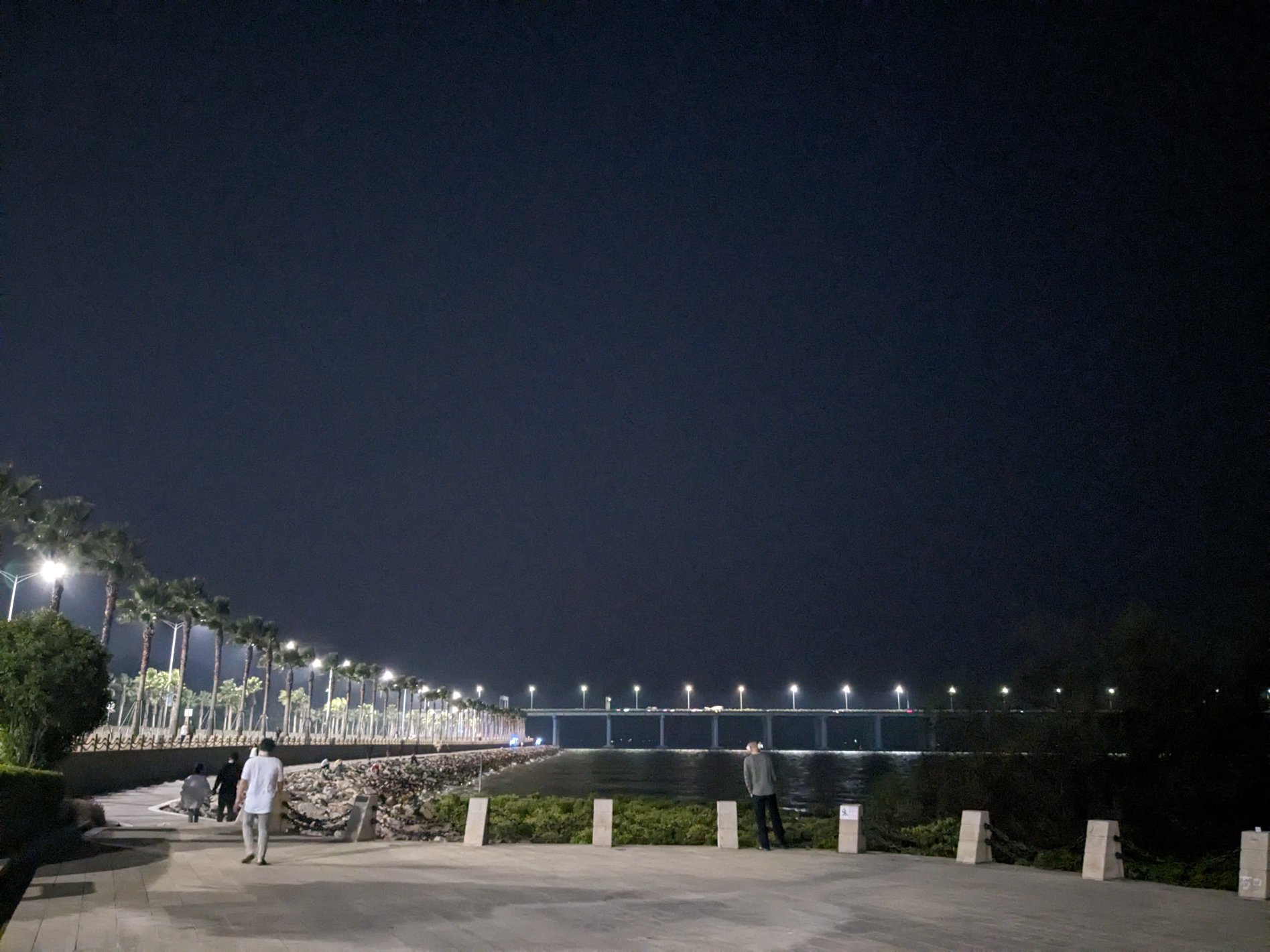 Jan 20, 2024 at Shenzhen Gu'shu Xi'wan Park Jan 20, 2024 at Shenzhen Gu'shu Xi'wan Park